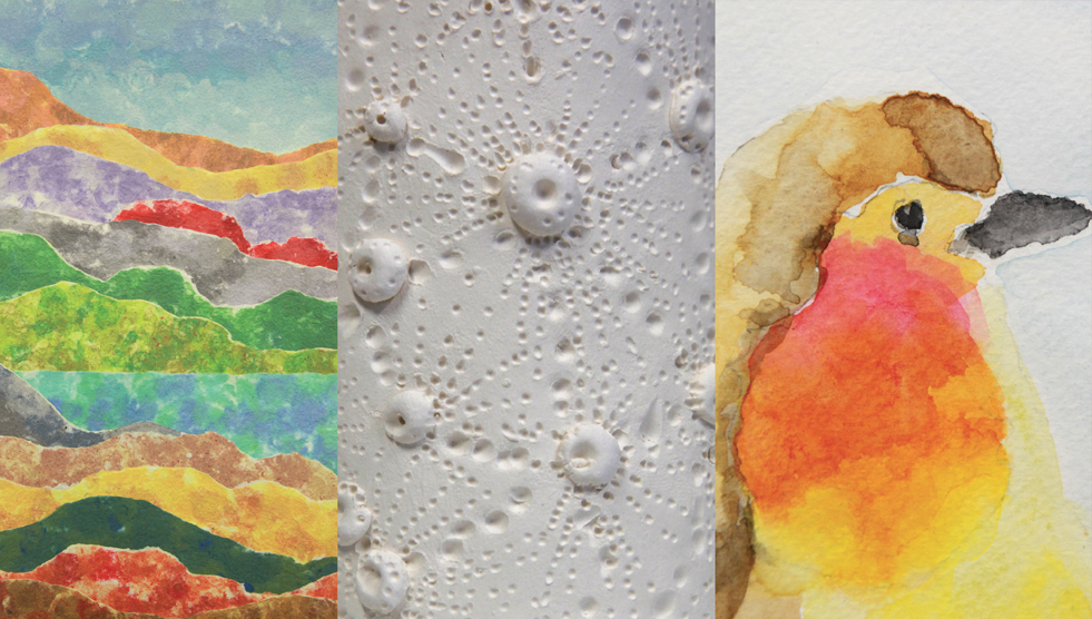 Of Land, Sea and Sky Art Exhibition: artworks by Suzanne Sorrell, Venessa Crane and Kerry Patterson