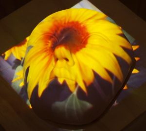 Ugly: an image of a yellow flower with an orange center is projected on a mold of a person's face