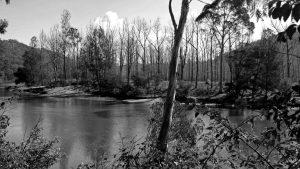 Debs: A body of water surrounded by trees with hills in the background is presented in black and white